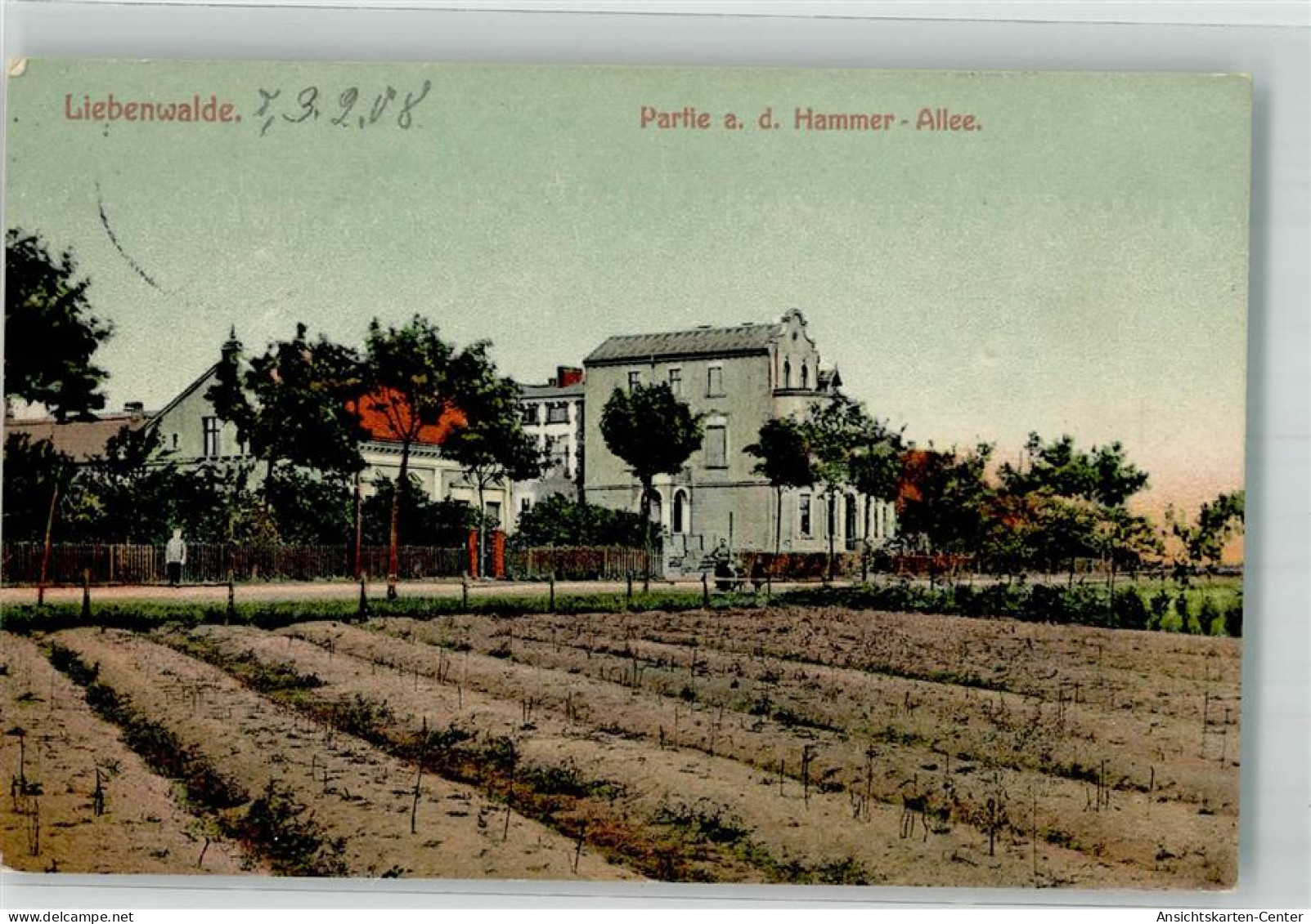 13528249 - Liebenwalde