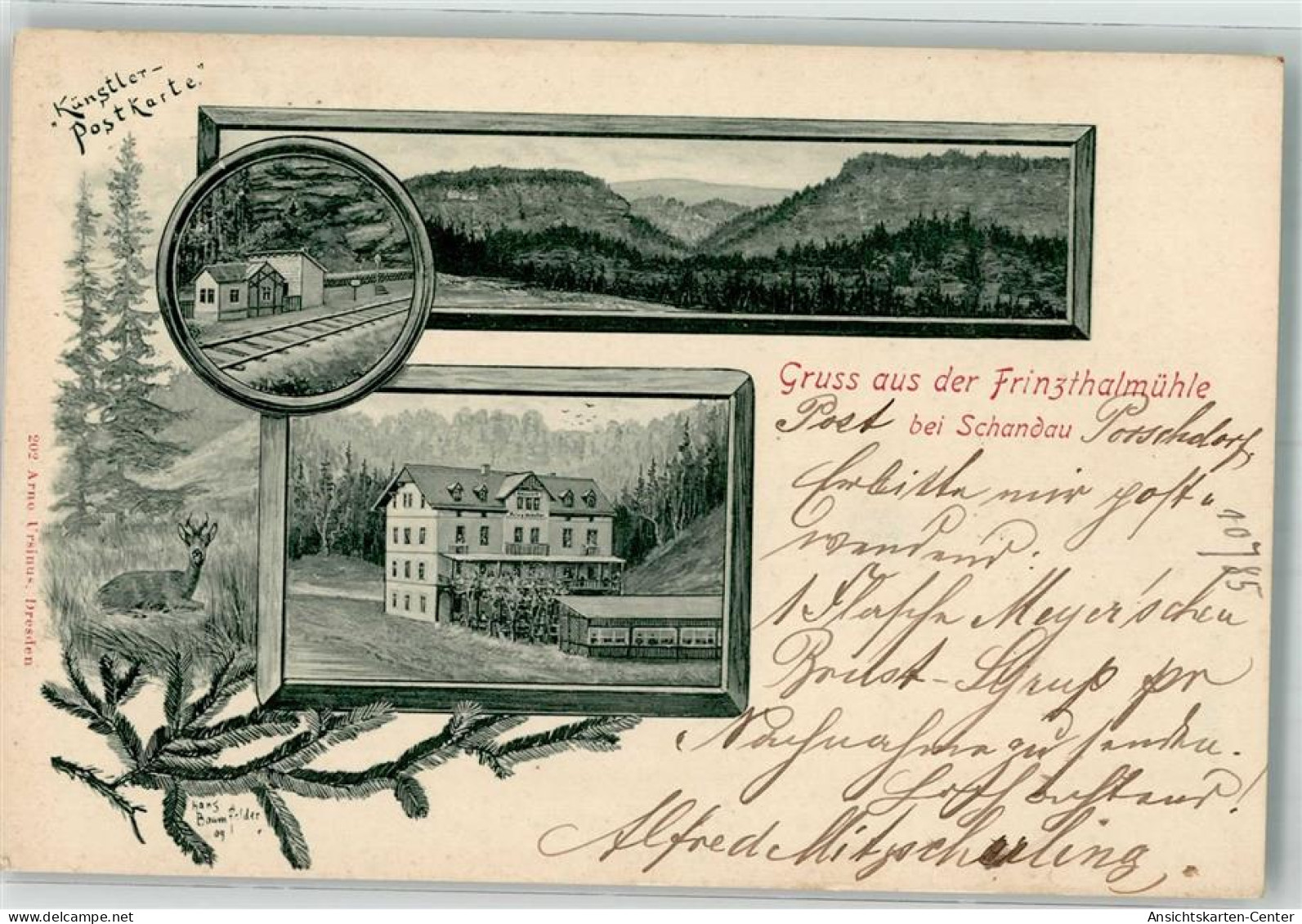 13528590 - Bad Schandau