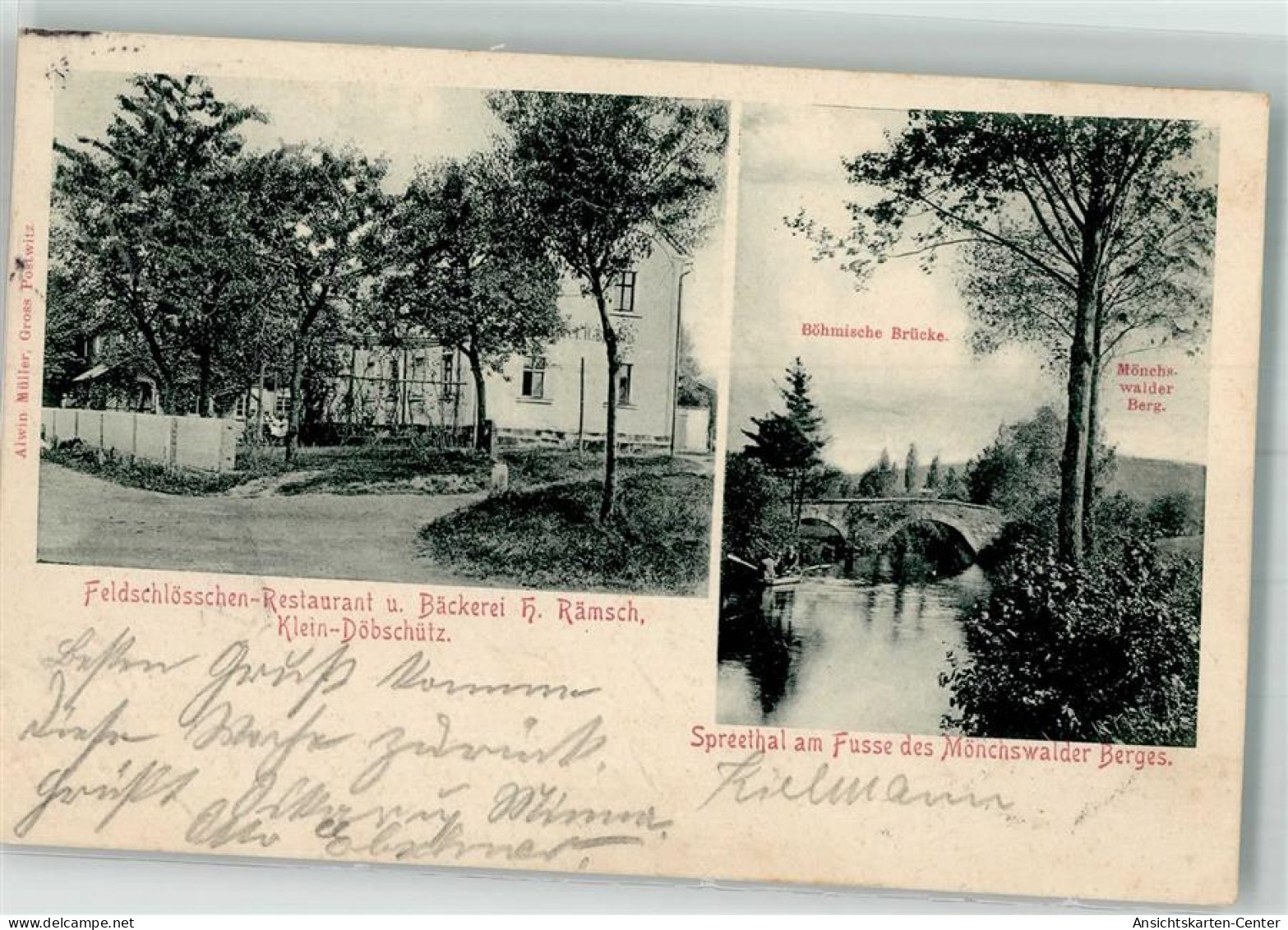 13534543 - Kleindoebschuetz