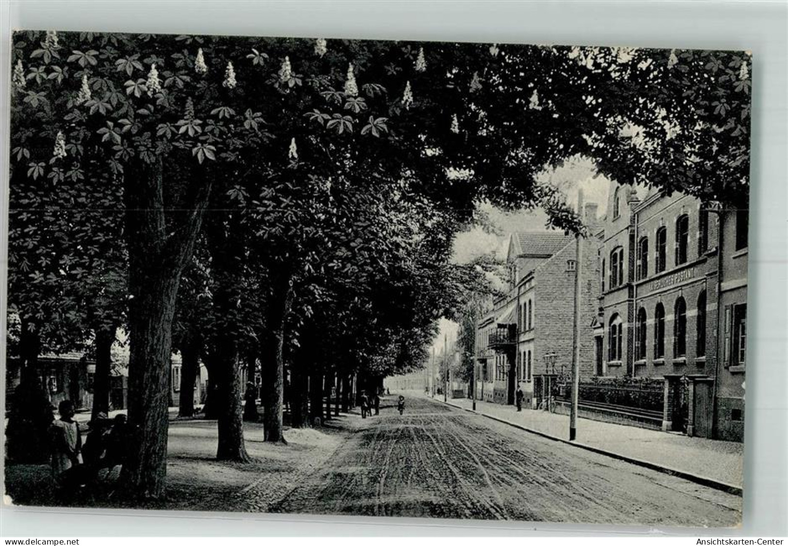 13534785 - Ballenstedt