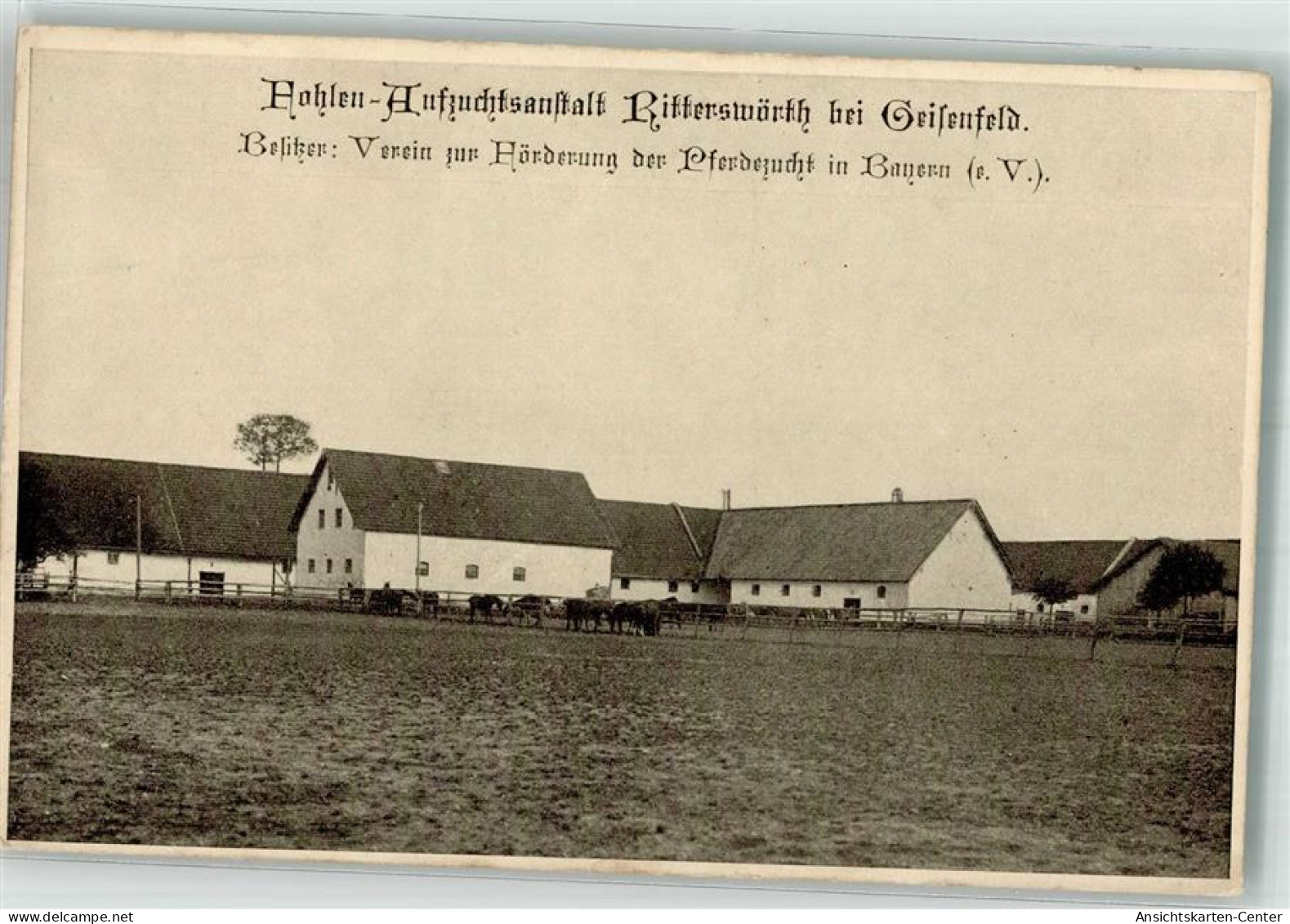 13537589 - Geisenfeld