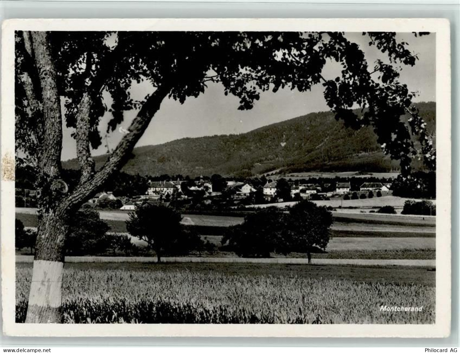 1354 Montcherand - Bäume - 11064028