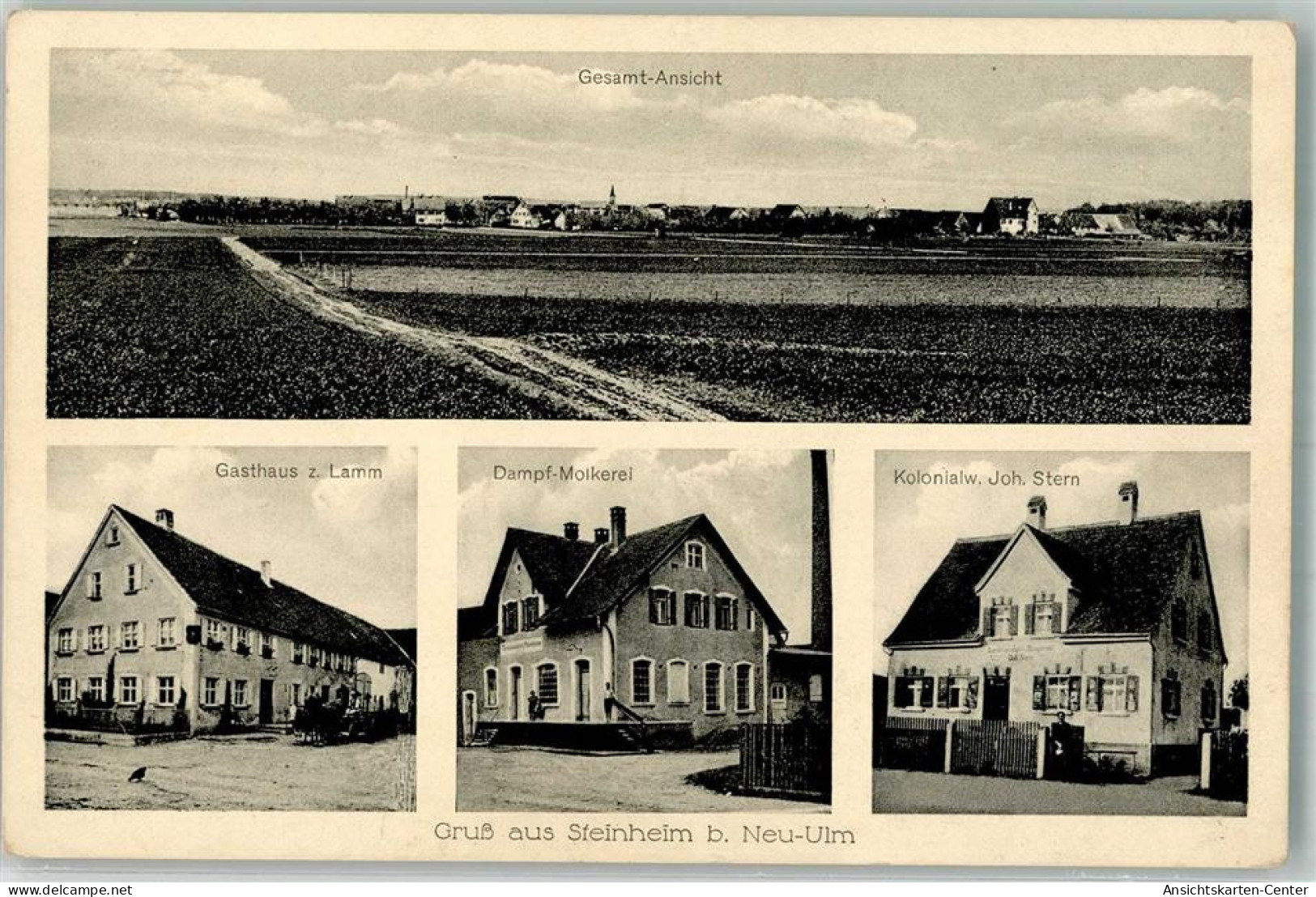 13541965 - Steinheim