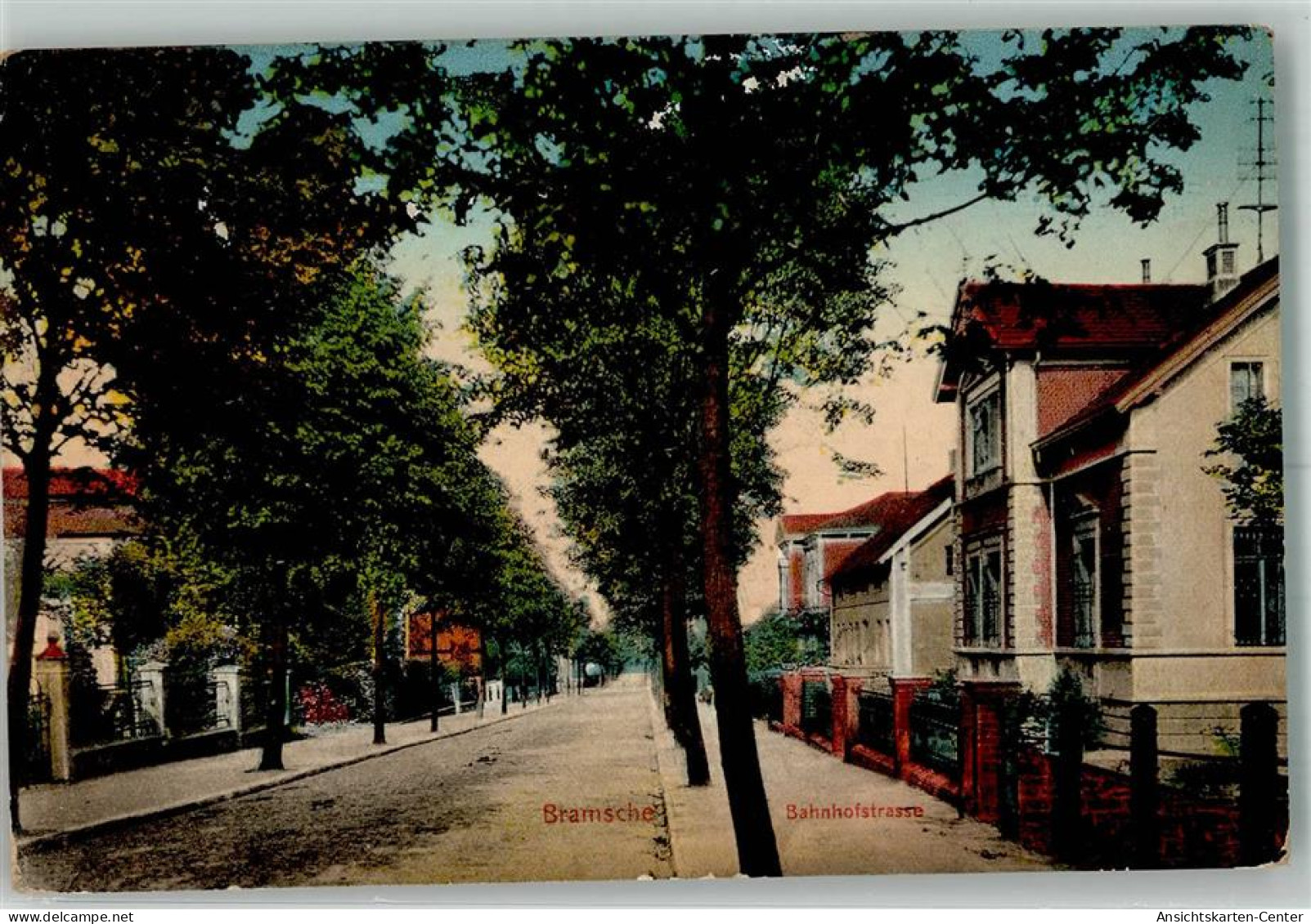 13543334 - Bramsche , Hase