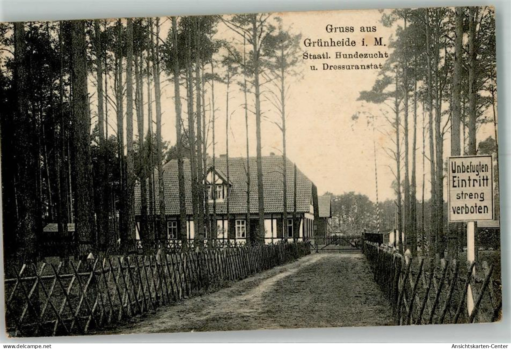 13543916 - Gruenheide , Mark