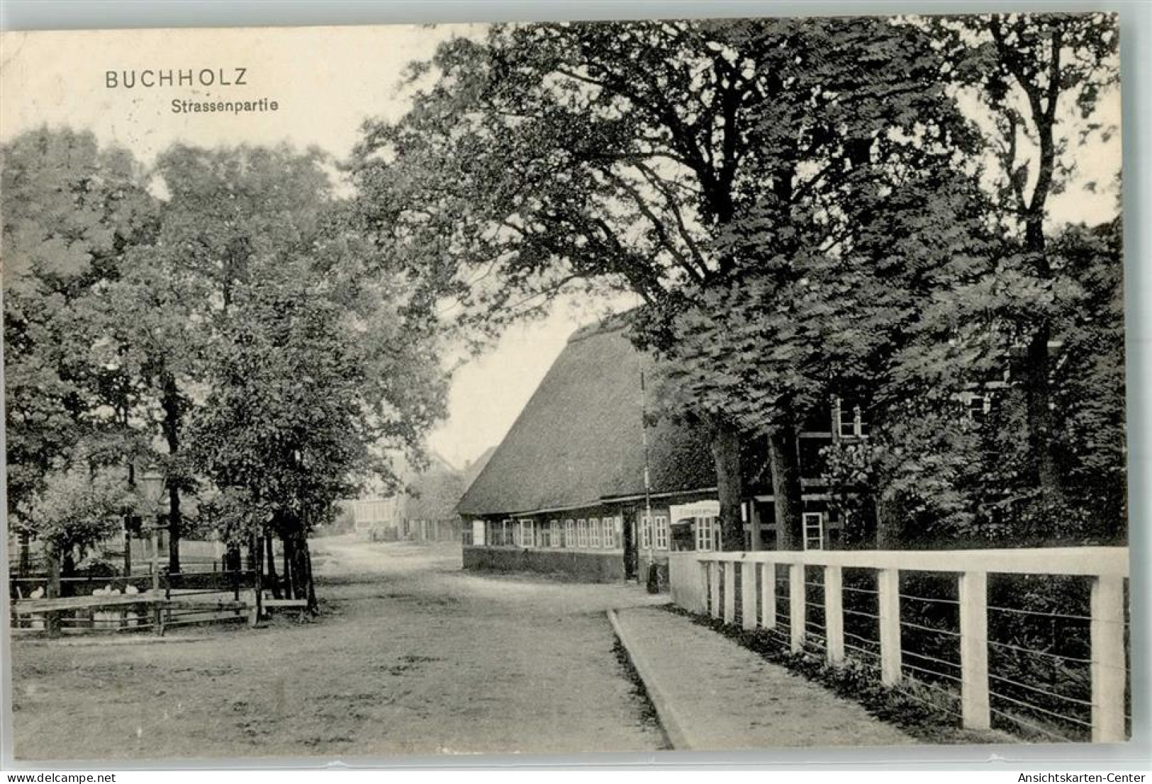 13544384 - Buchholz in der Nordheide