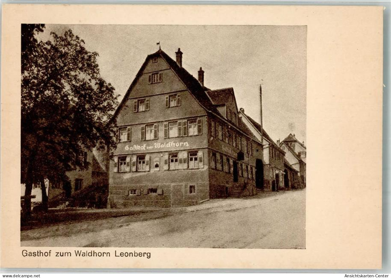 13546616 - Leonberg , Wuertt