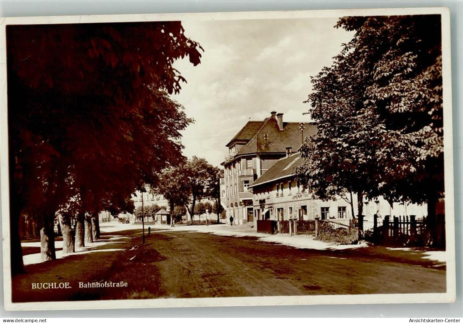 13547936 - Buchloe