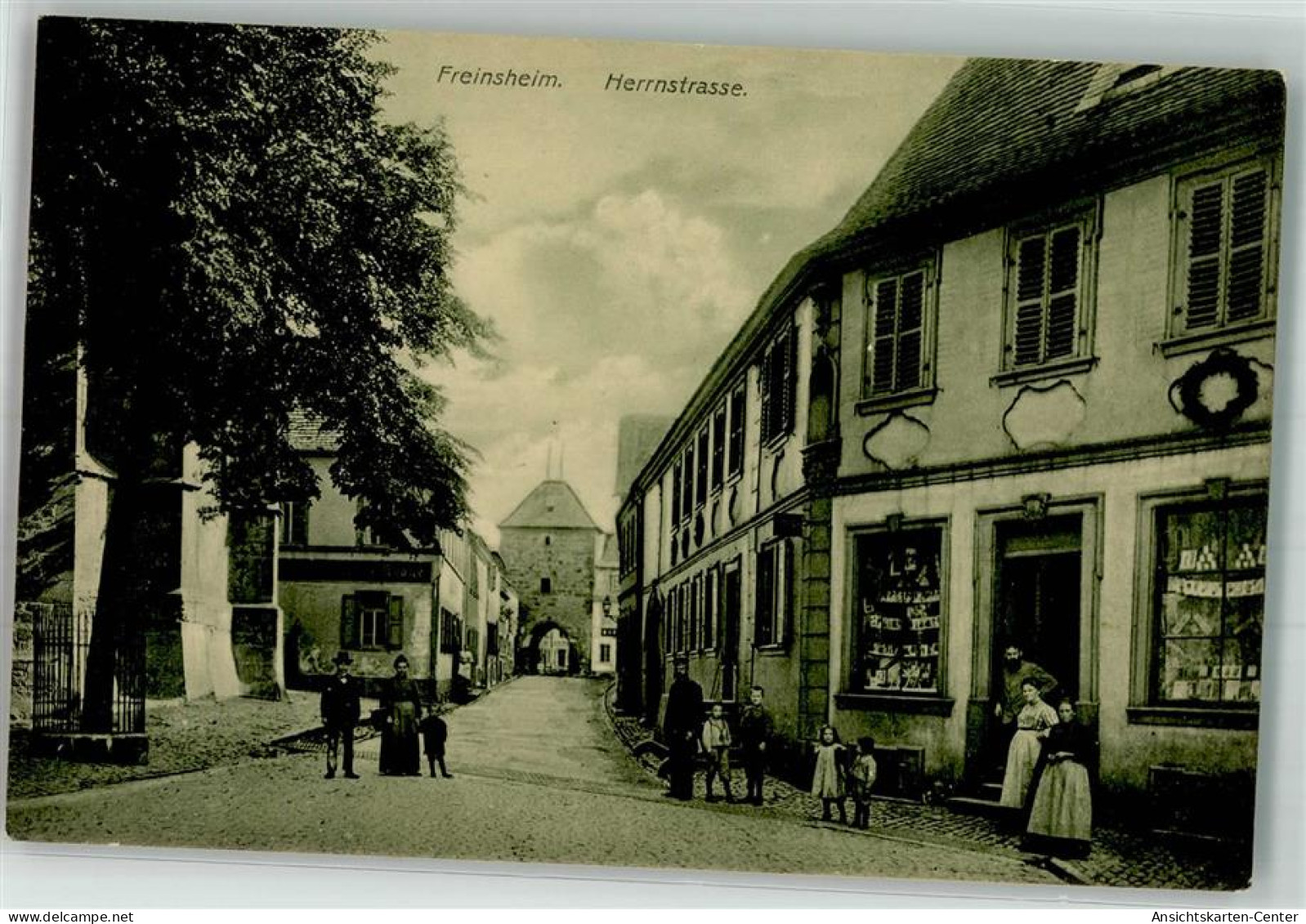 13549856 - Freinsheim