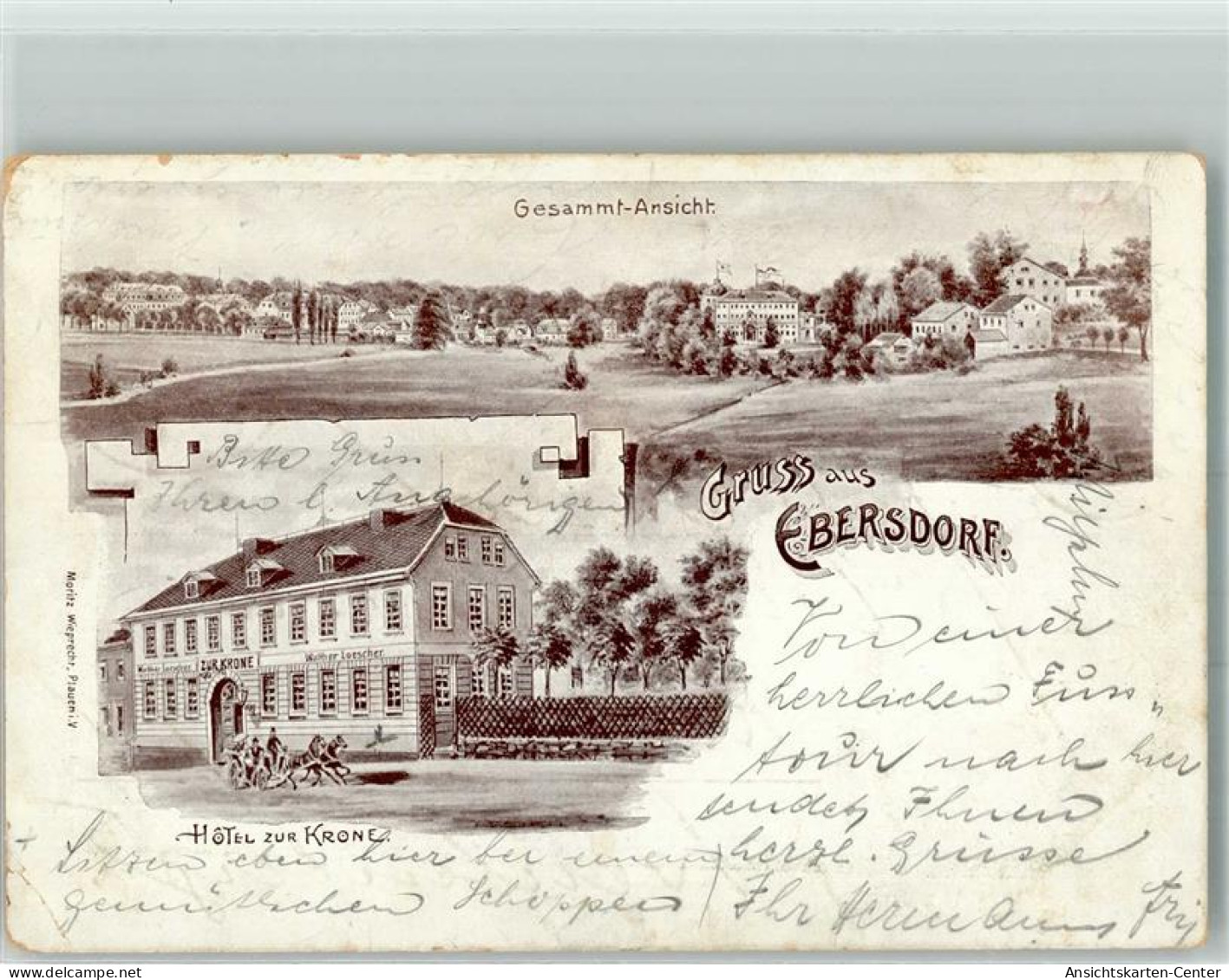 13552759 - Ebersdorf Dzikowiec