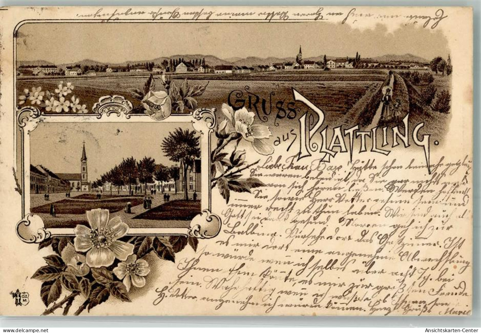 13557091 - Plattling