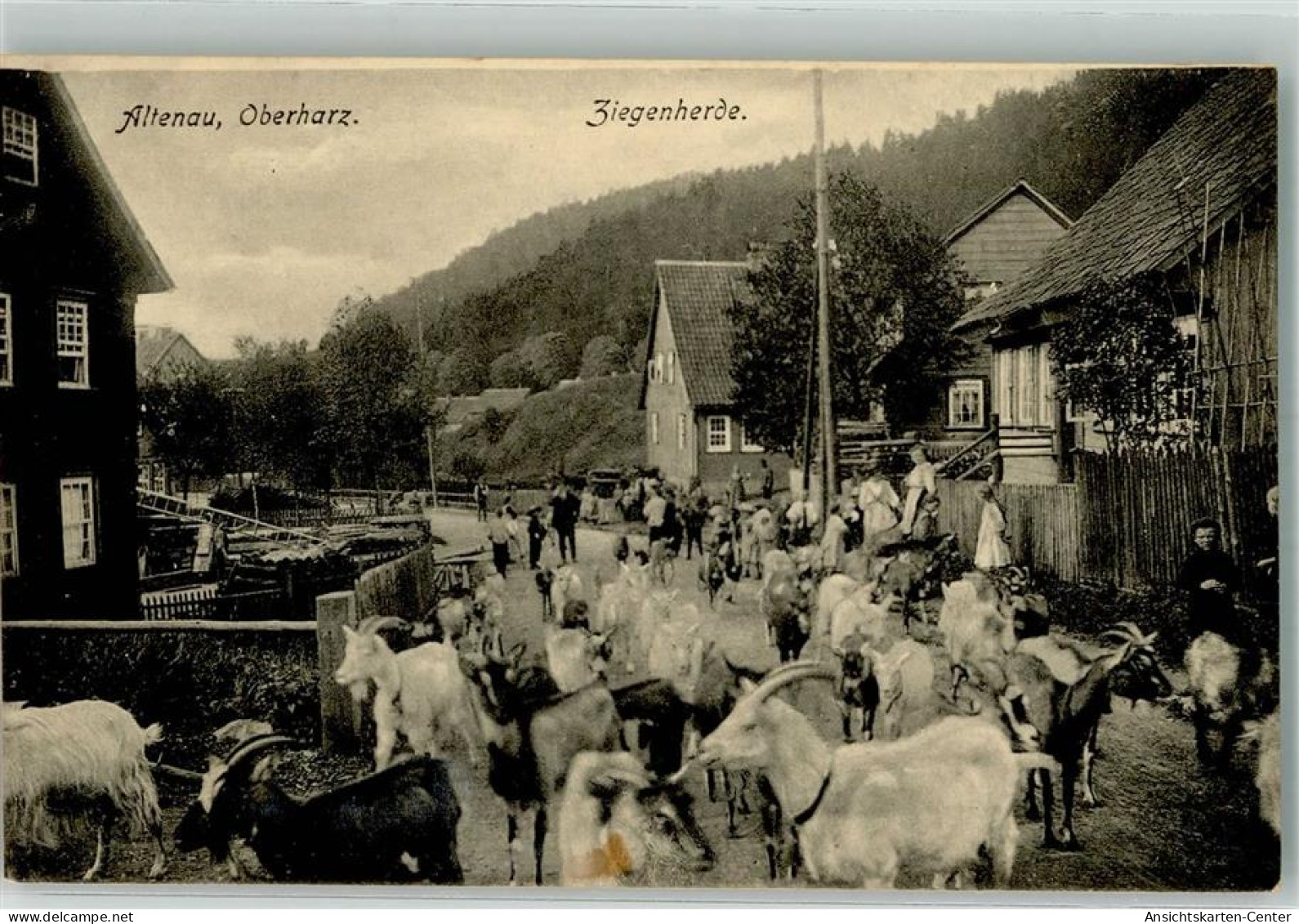 13562194 - Altenau , Harz