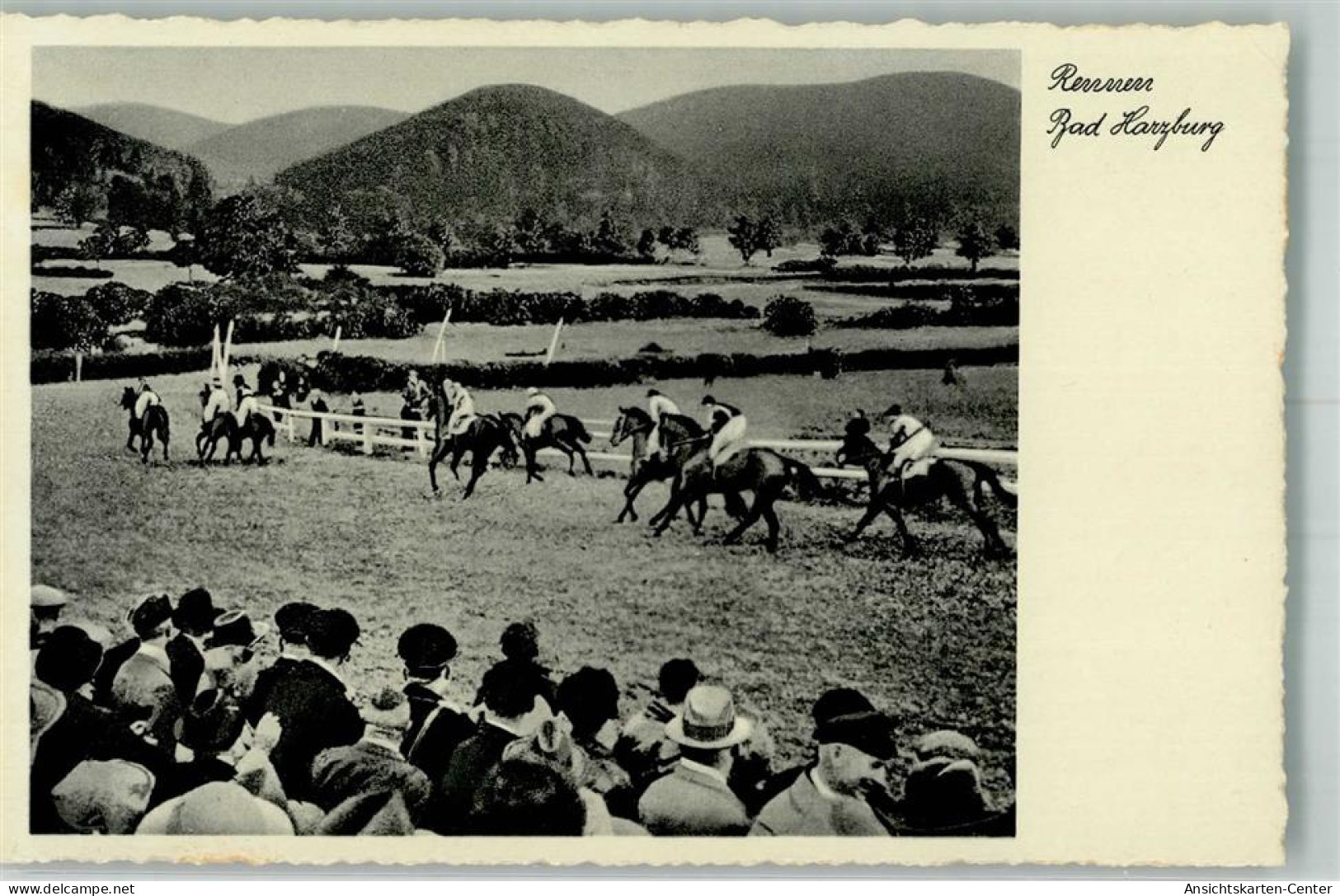 13563482 - Bad Harzburg