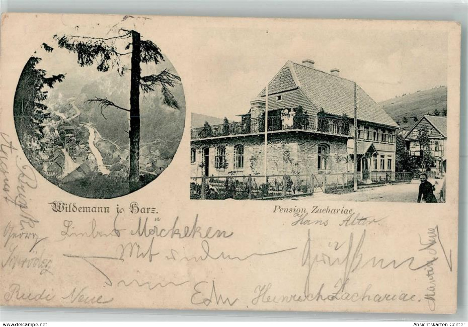 13565292 - Wildemann