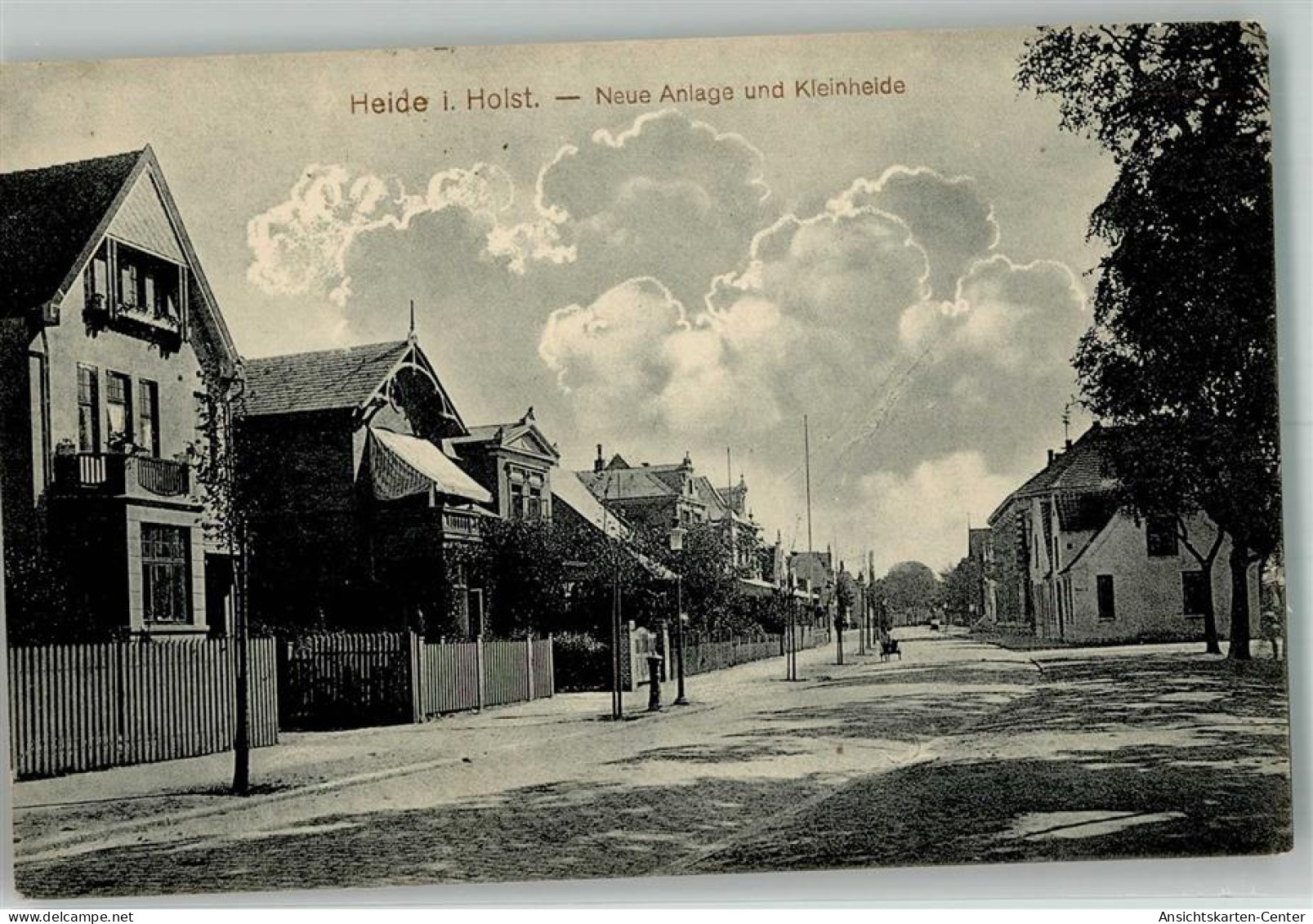 13566346 - Heide , Holst