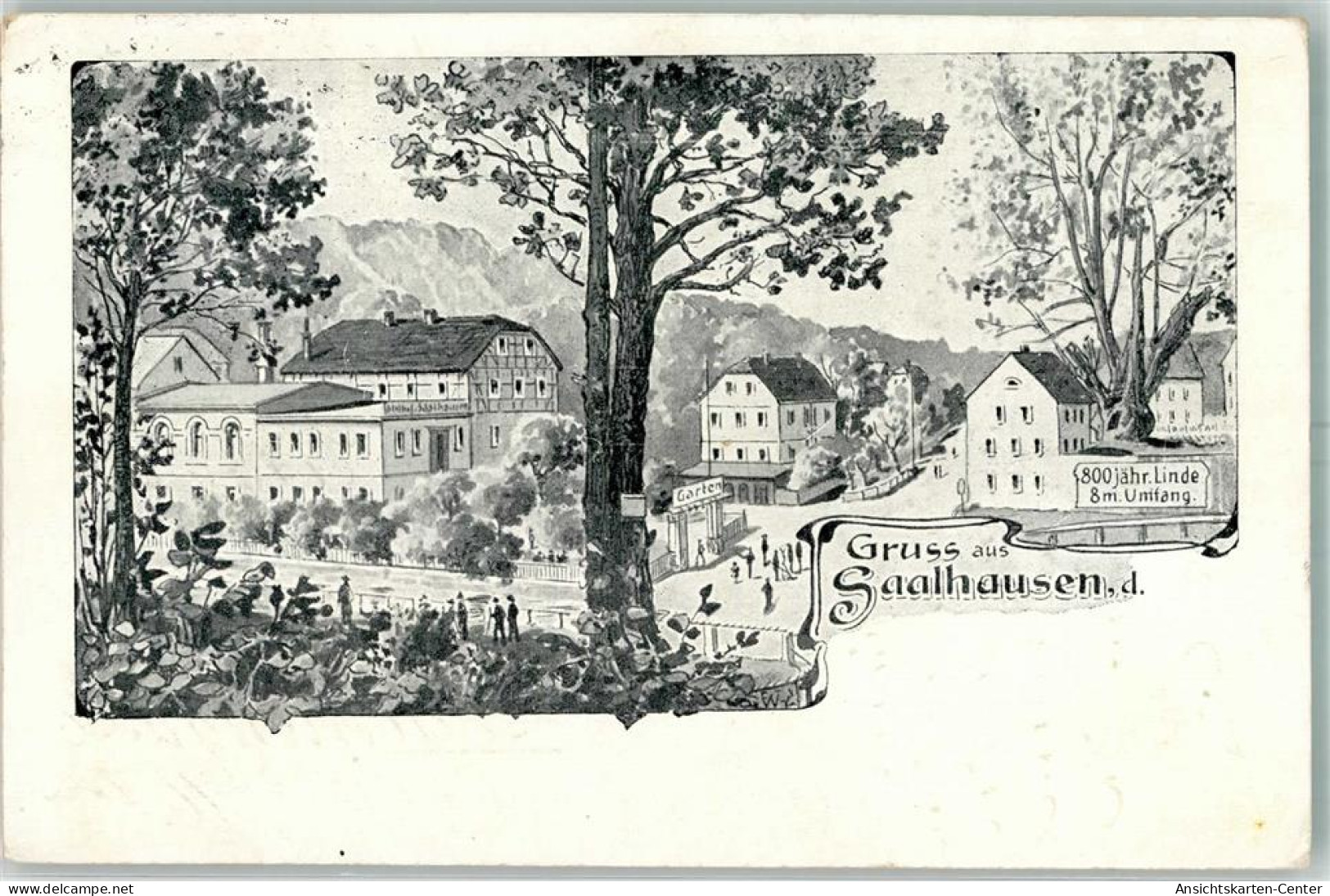 13569928 - Saalhausen , NL