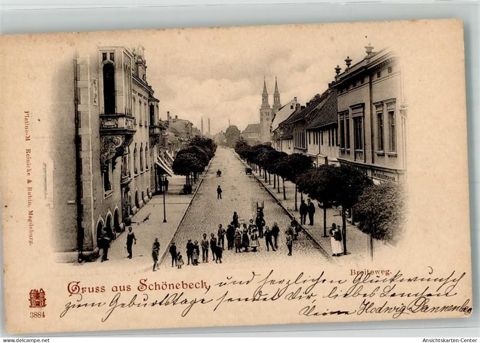 13571696 - Schoenebeck Elbe