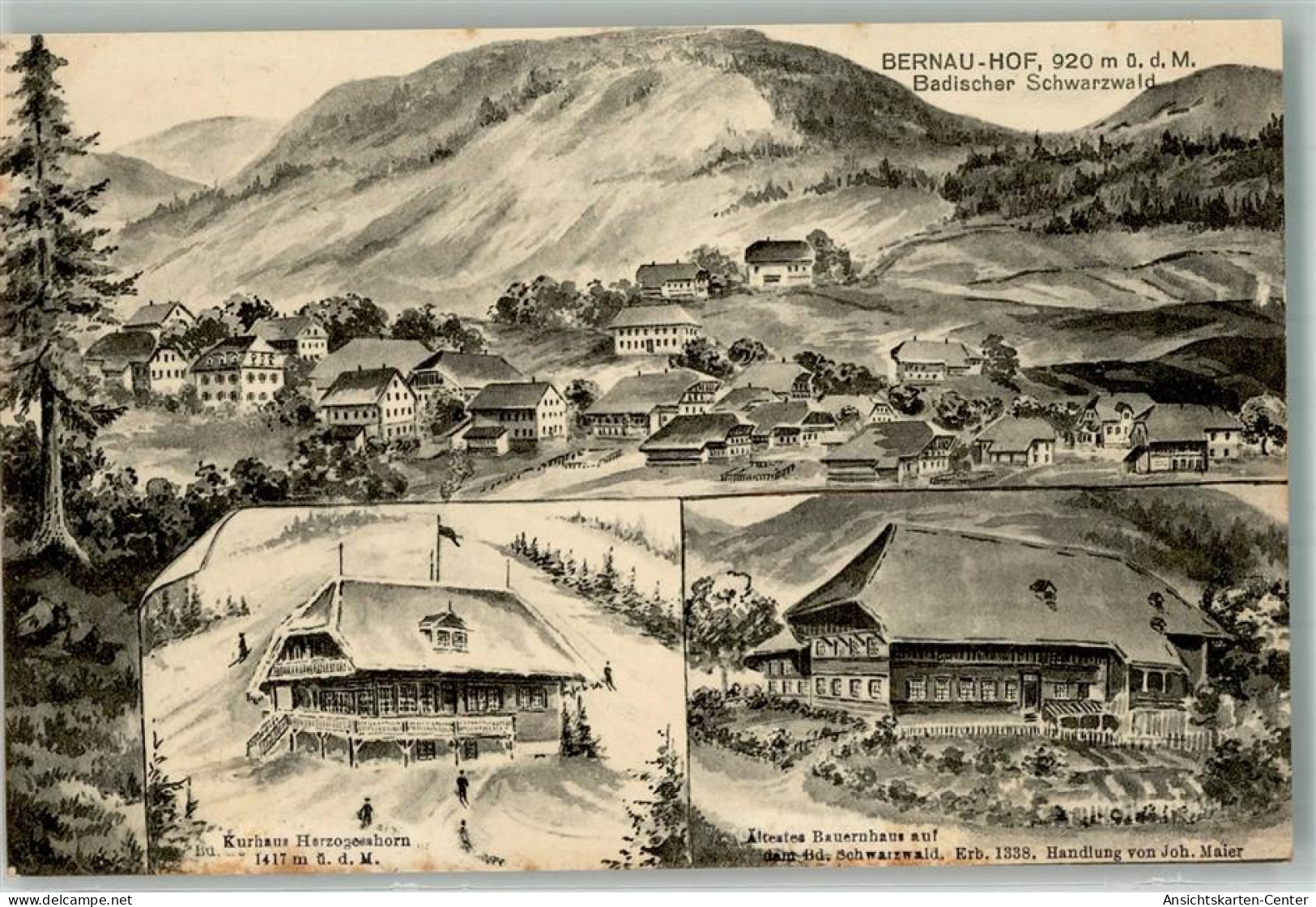 13573657 - Bernau im Schwarzwald, Baden