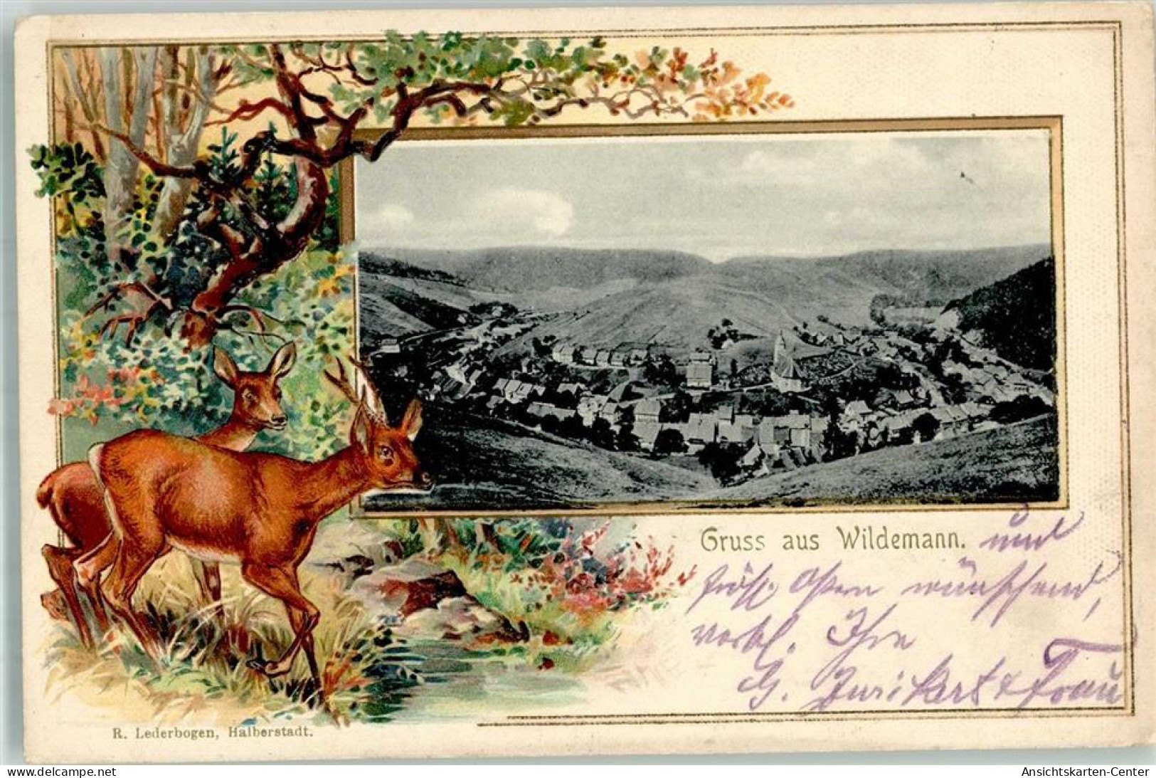 13581142 - Wildemann