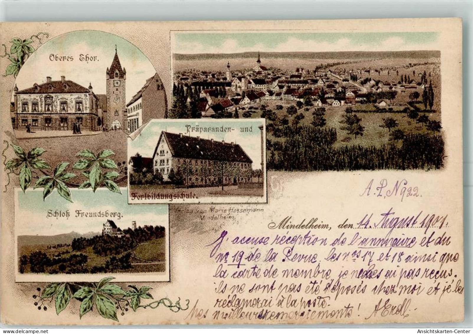 13600471 - Mindelheim