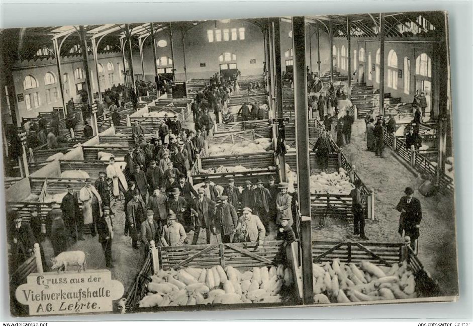 13608877 - Lehrte b Hannover