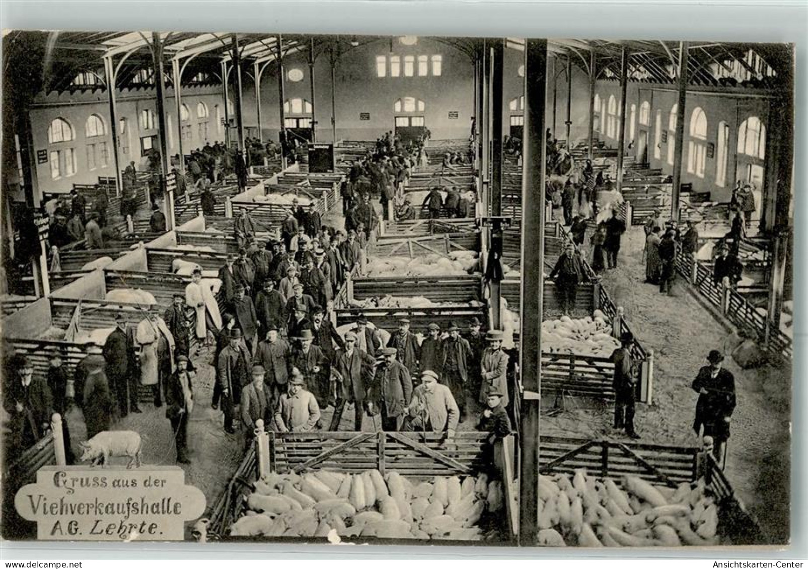 13613164 - Lehrte b Hannover