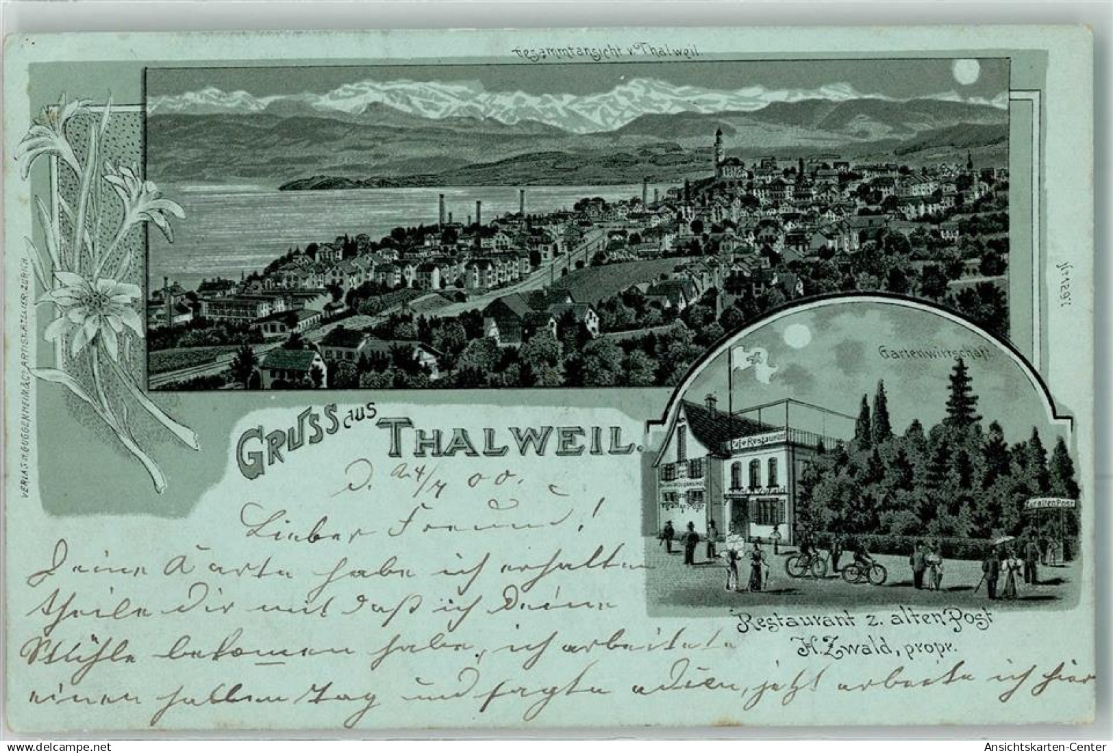 13615982 - Thalwil