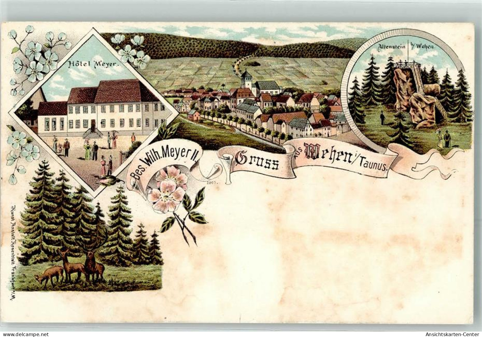 13619732 - Wehen , Taunus