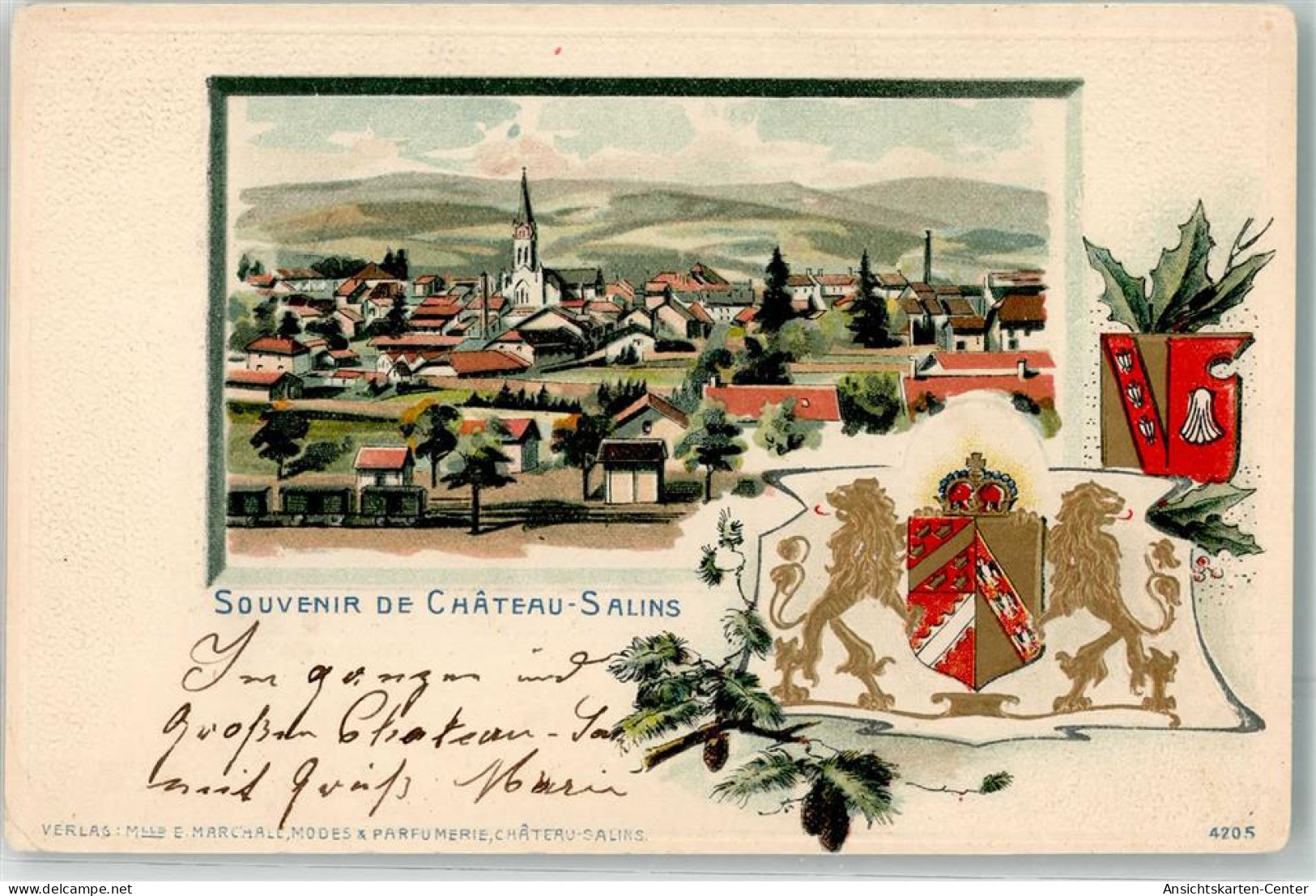 13623630 - Chateau-Salins