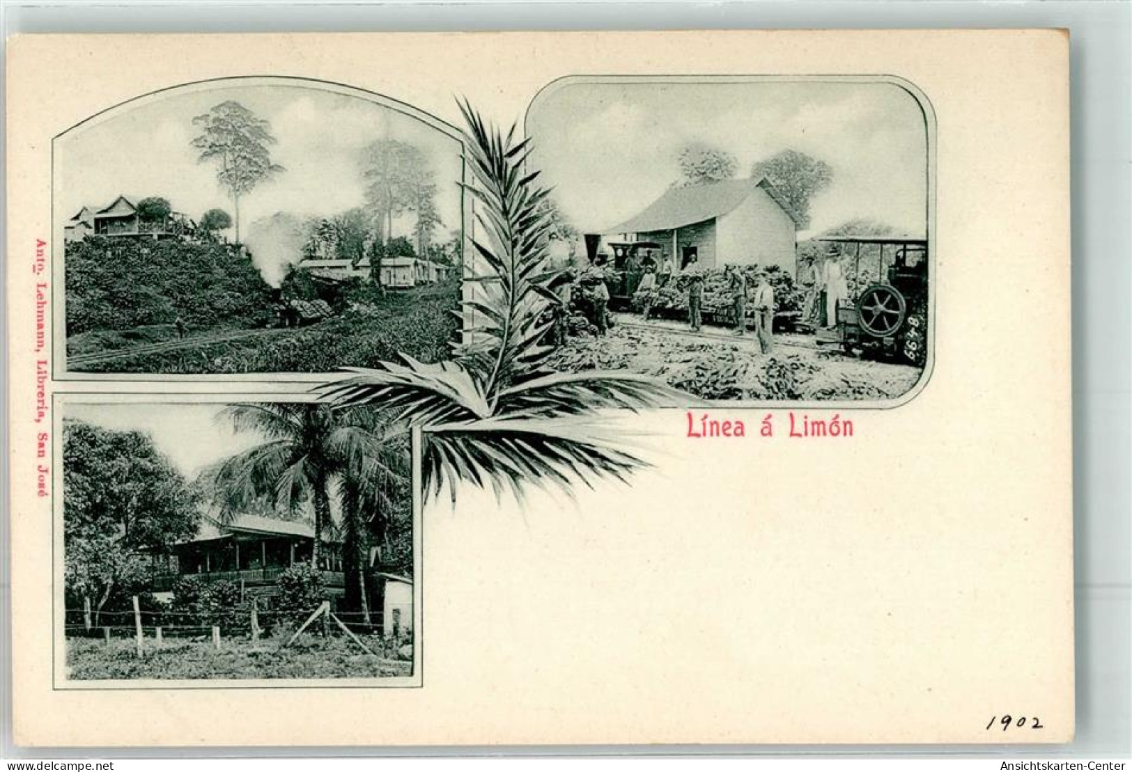 13623675 - Puerto Limon