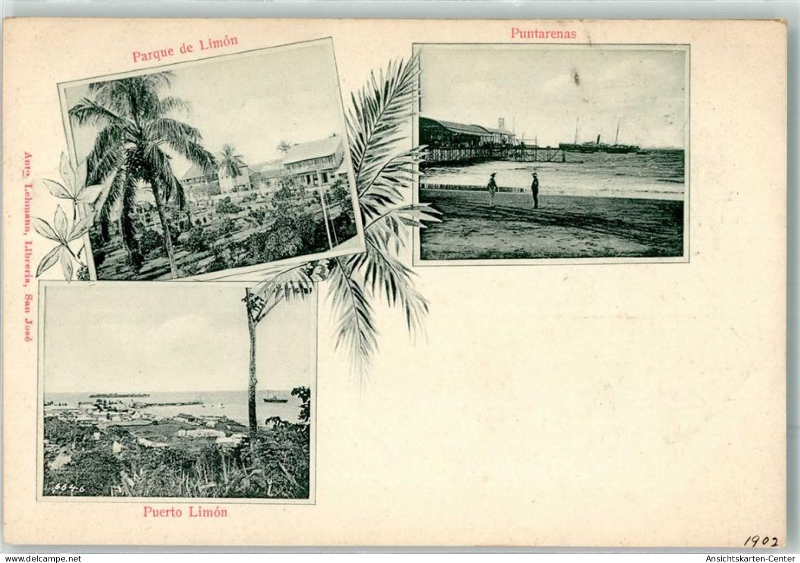 13623676 - Puerto Limon