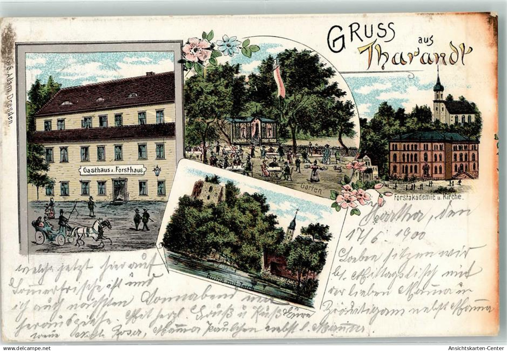 13626283 - Tharandt