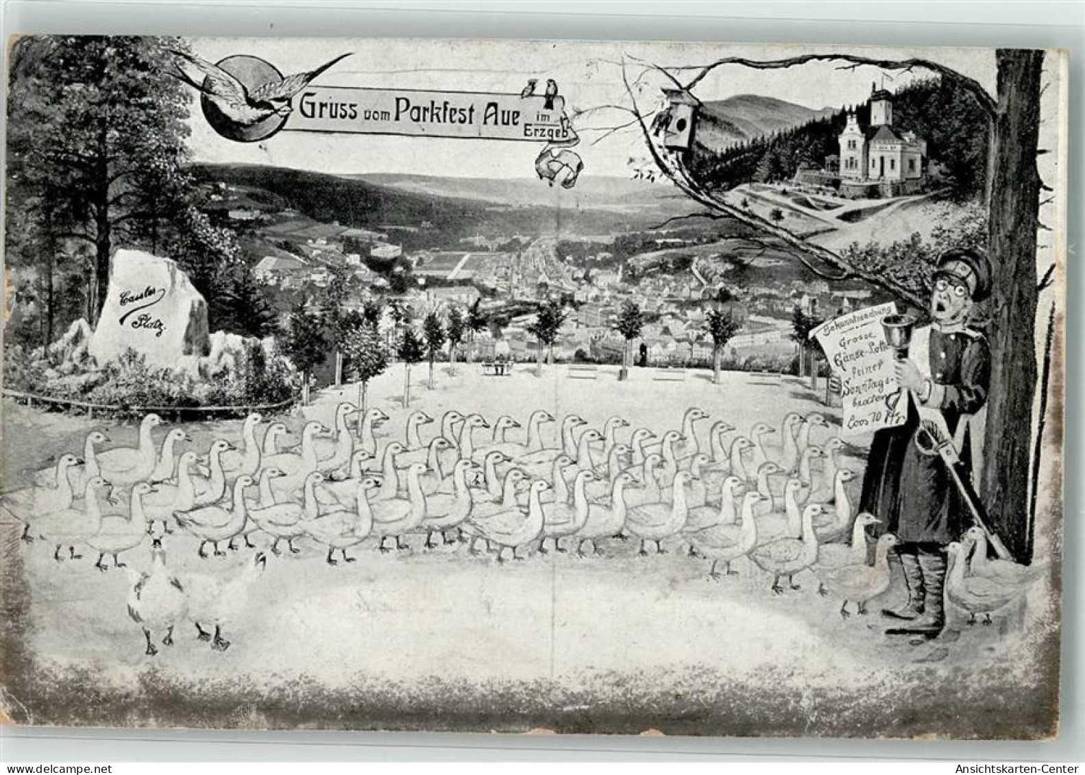 13629228 - Aue , Sachs