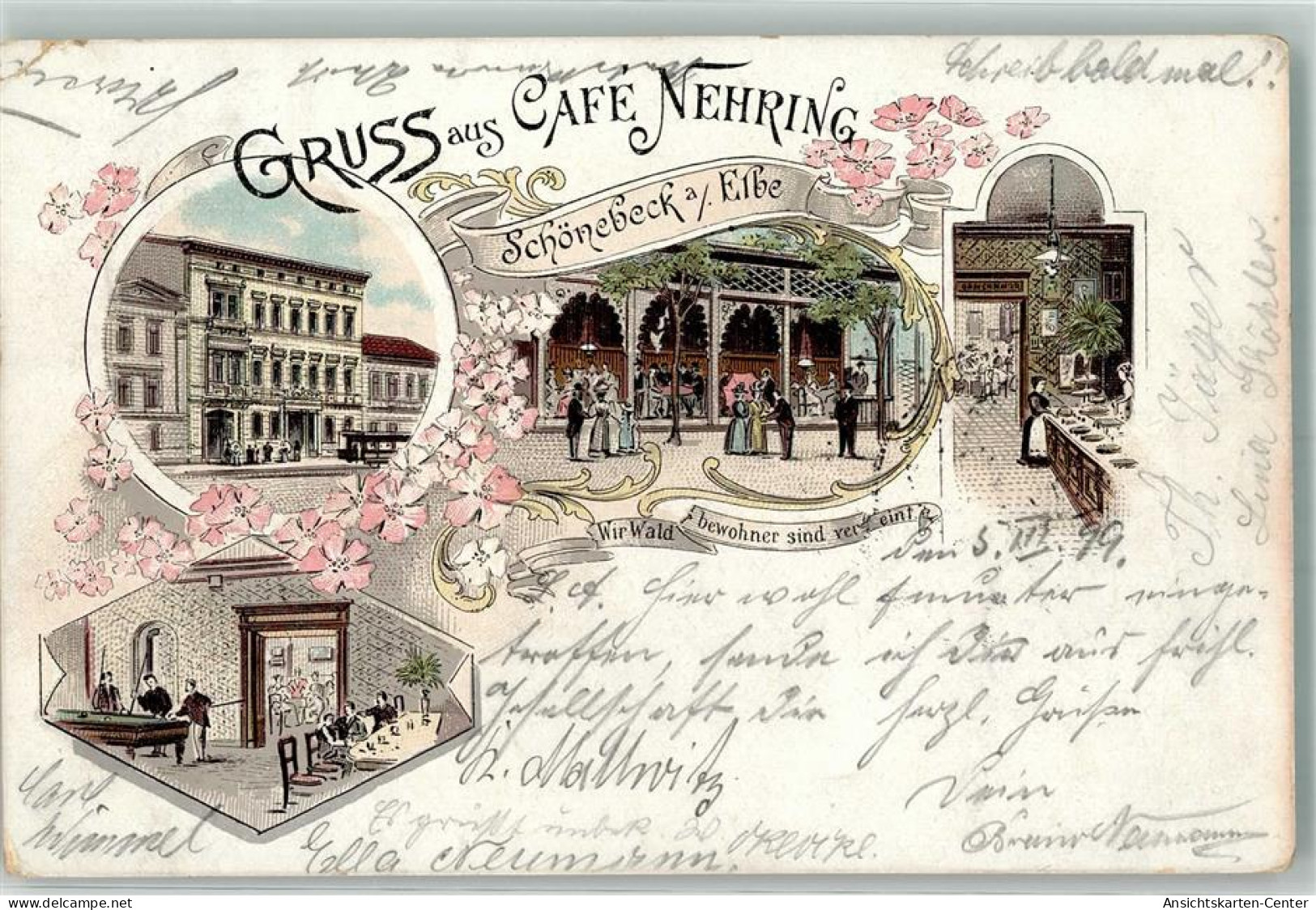 13638405 - Schoenebeck Elbe