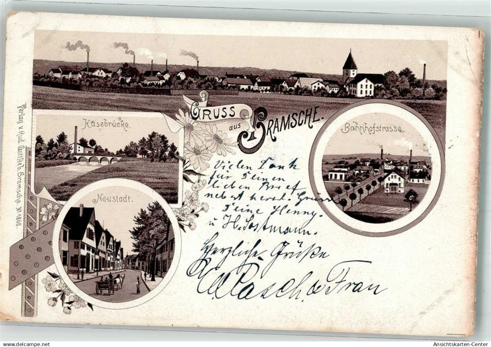 13638735 - Bramsche , Hase