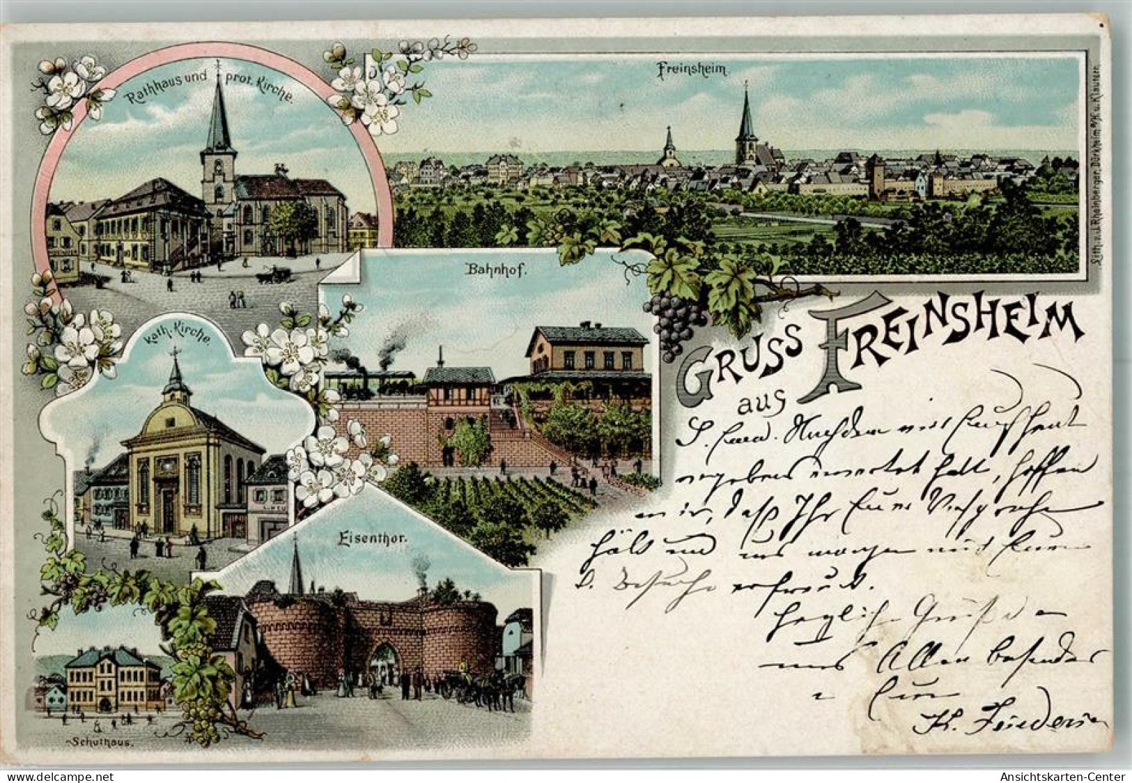 13644646 - Freinsheim