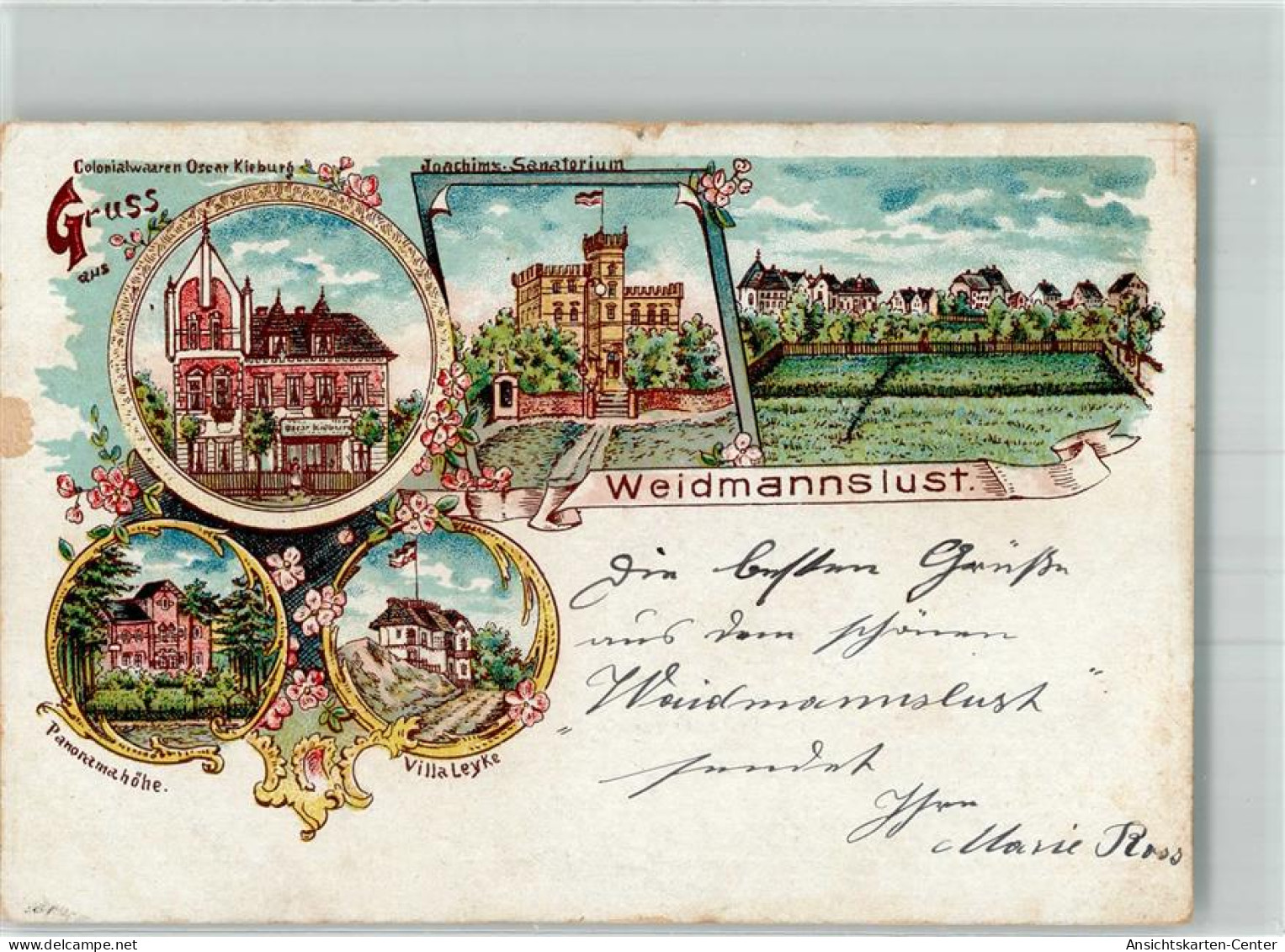 13653103 - Waidmannslust