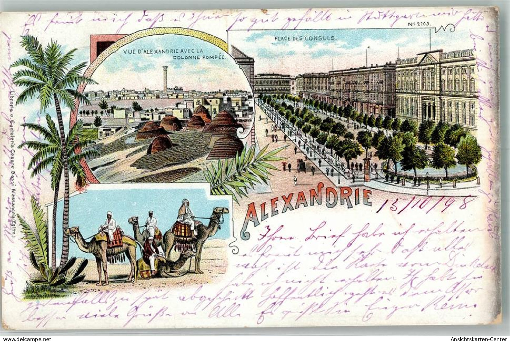 13657195 - Alexandria