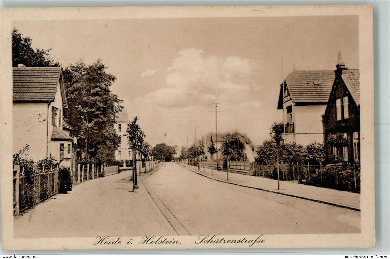 13660099 - Heide , Holst