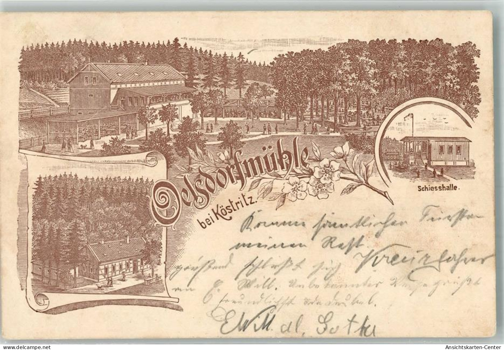 13661458 - Bad Koestritz