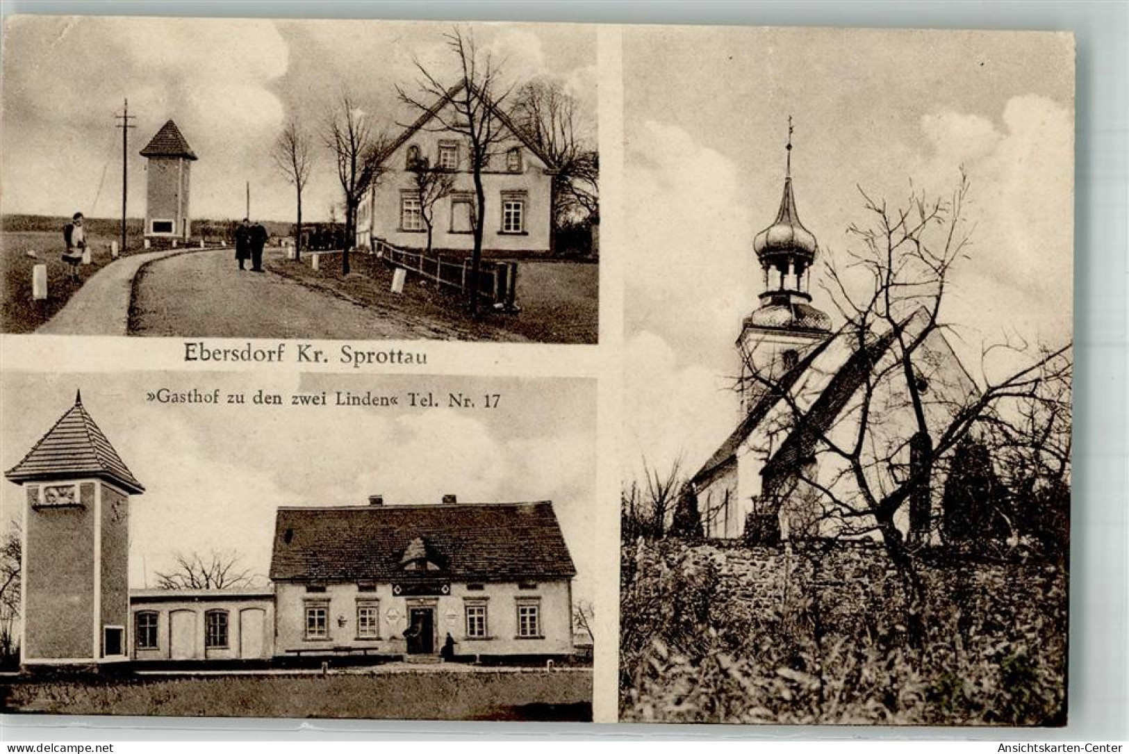 13663610 - Ebersdorf Dzikowiec