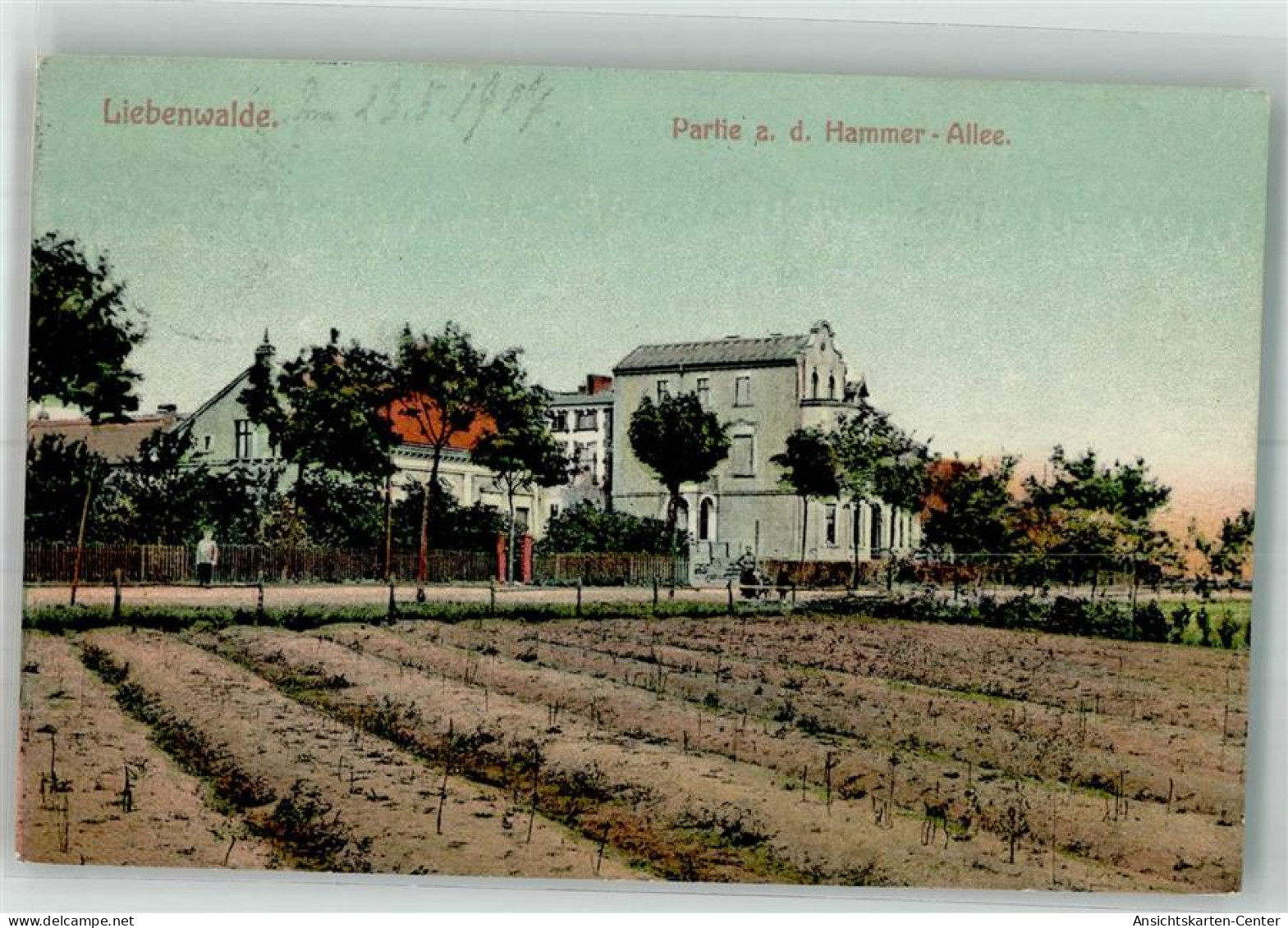 13664801 - Liebenwalde