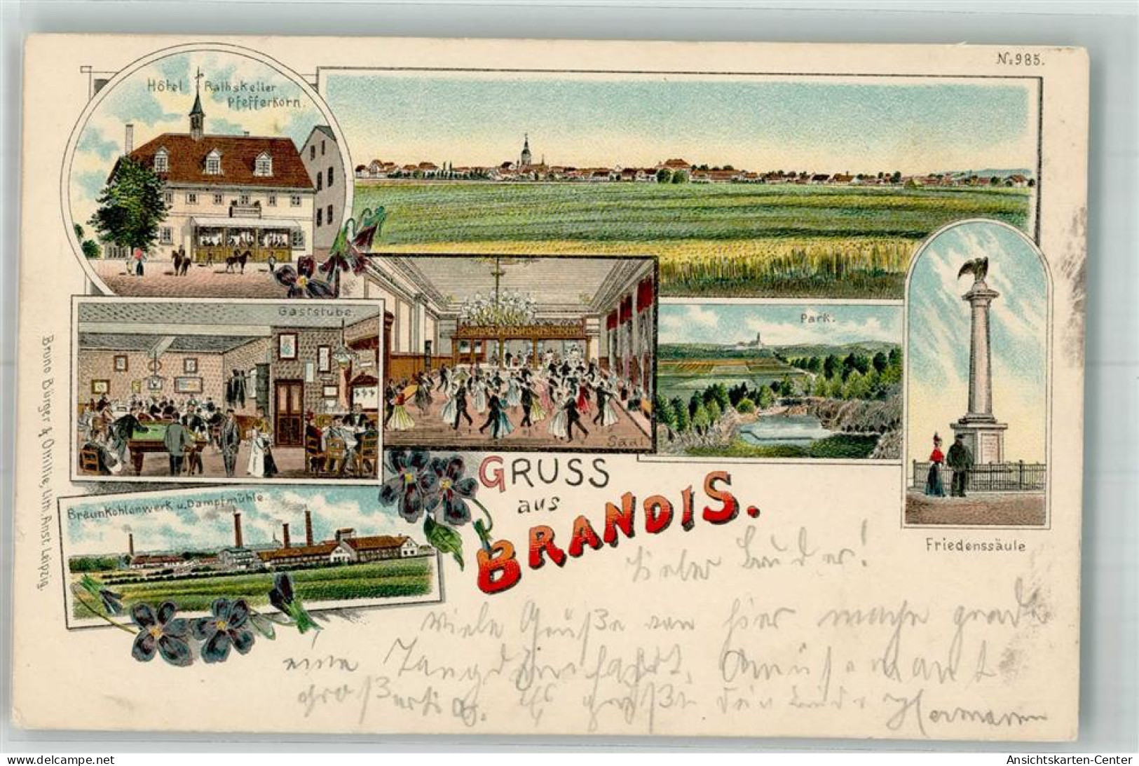 13665000 - Brandis b Wurzen