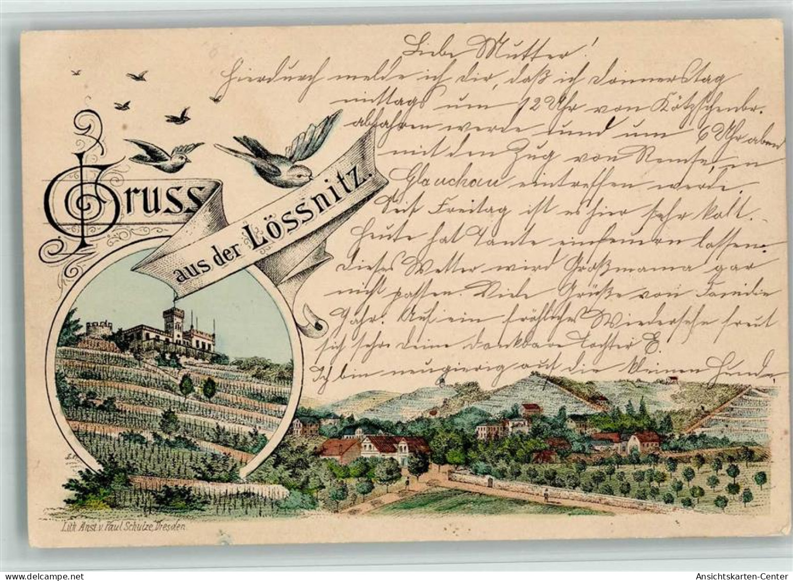 13702928 - Loessnitz