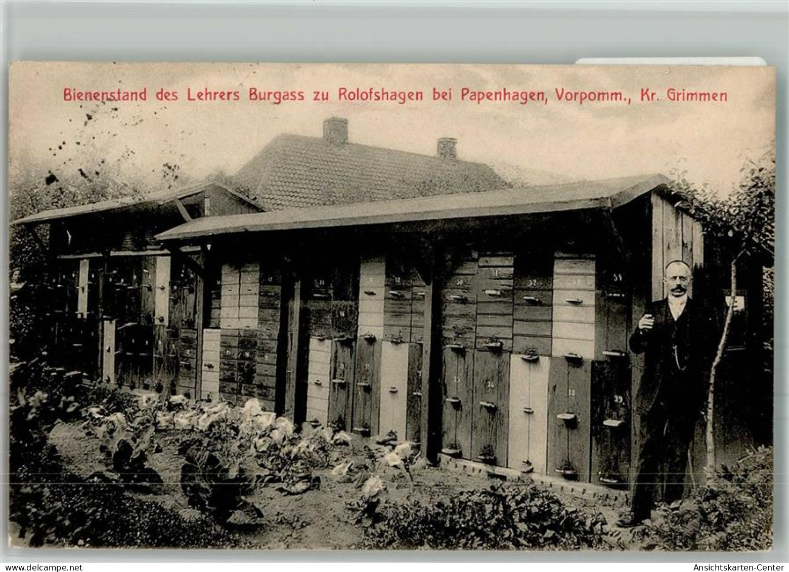 13705500 - Rolofshagen b Grimmen