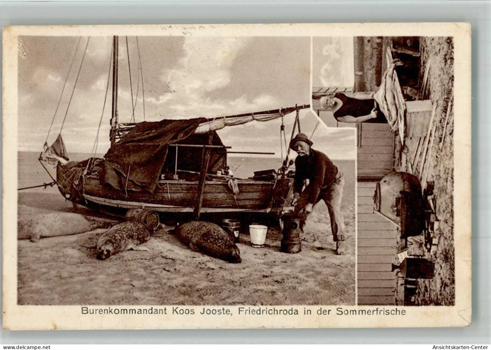 13706746 - Falkenberg