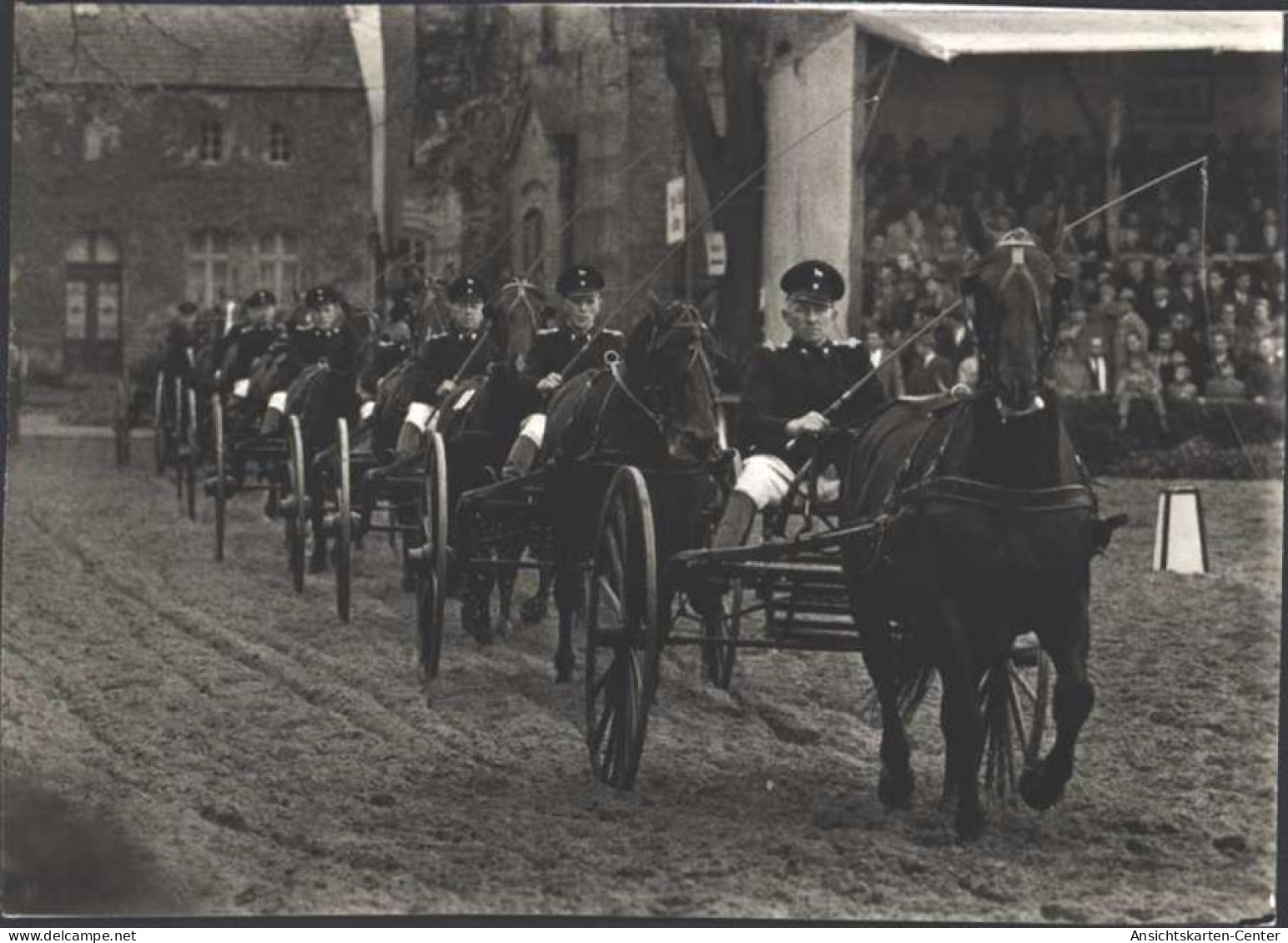 13808479 - Warendorf