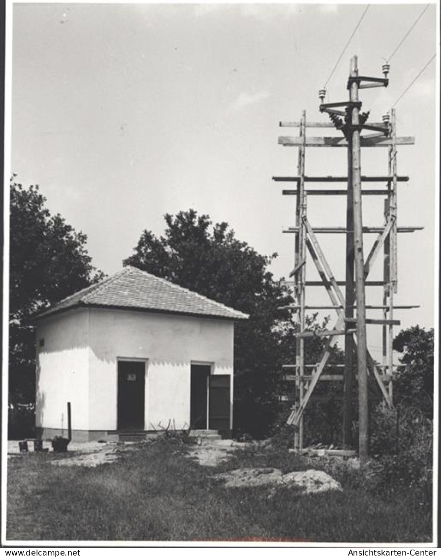 13811288 - Buchschlag