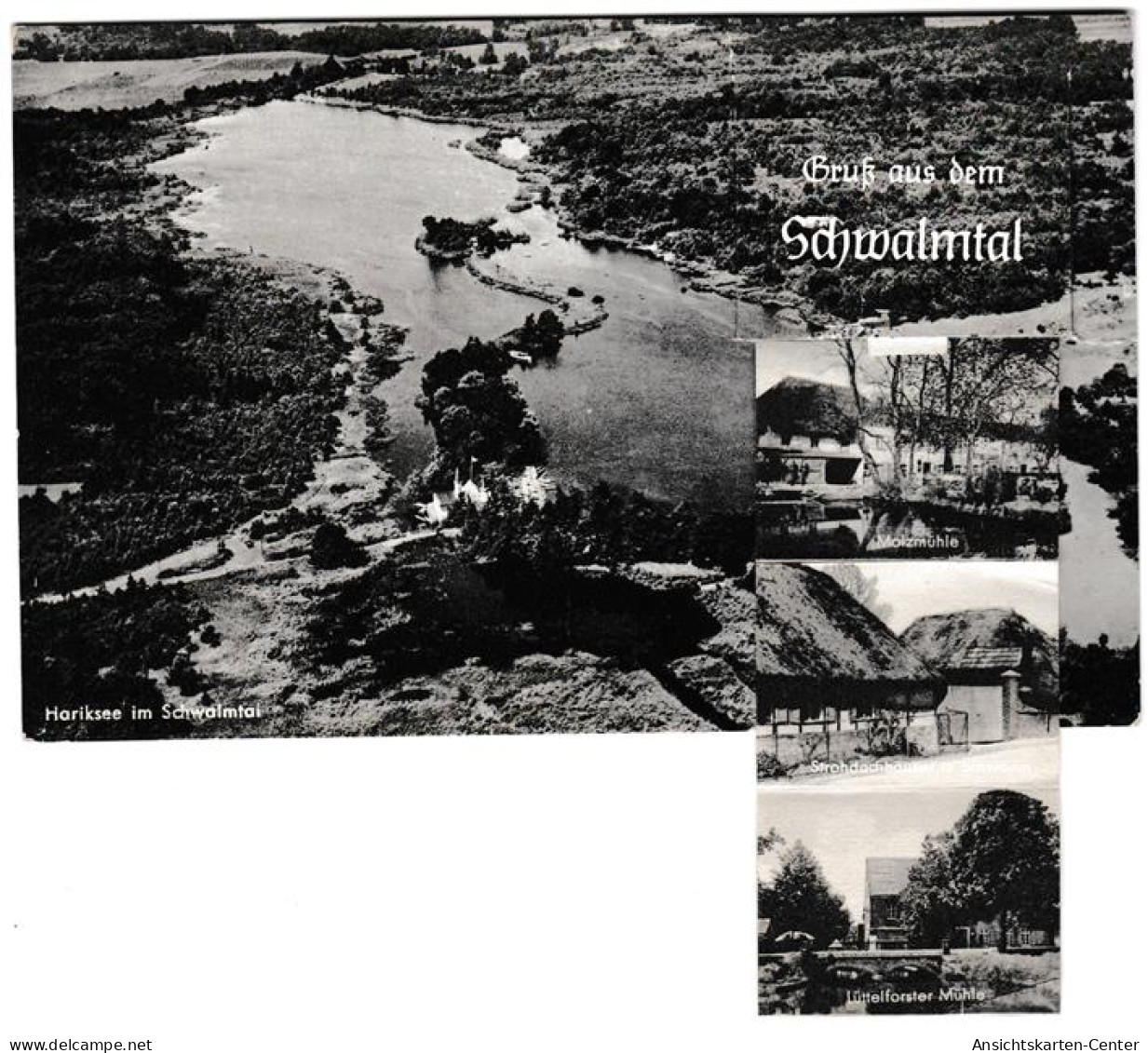 13811490 - Schwalmtal , Niederrhein