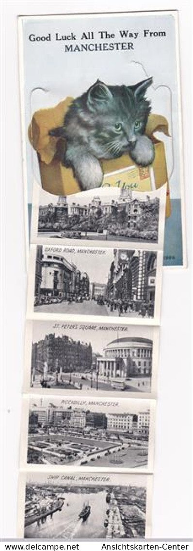13811674 - Manchester